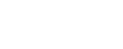 Chauffeur privé Lyon 1
